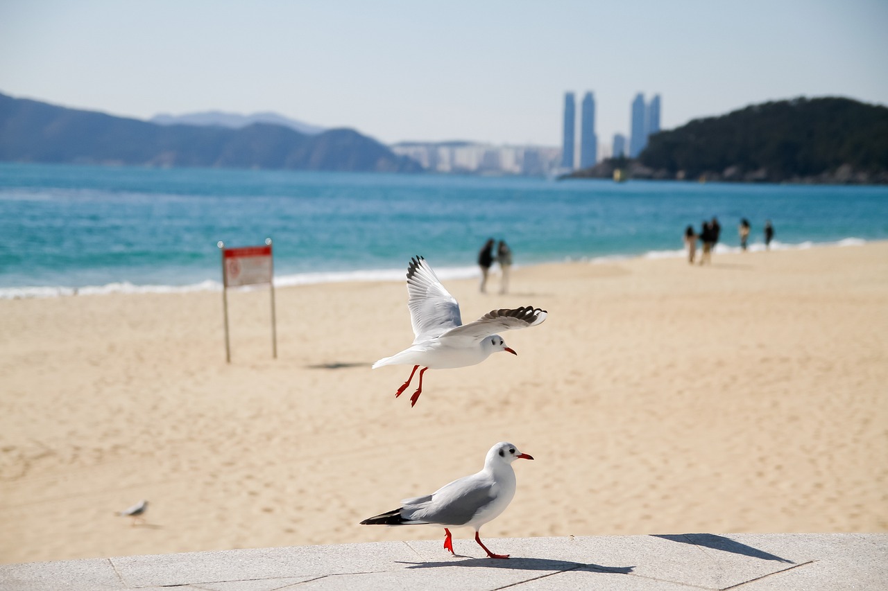부산 운전학원