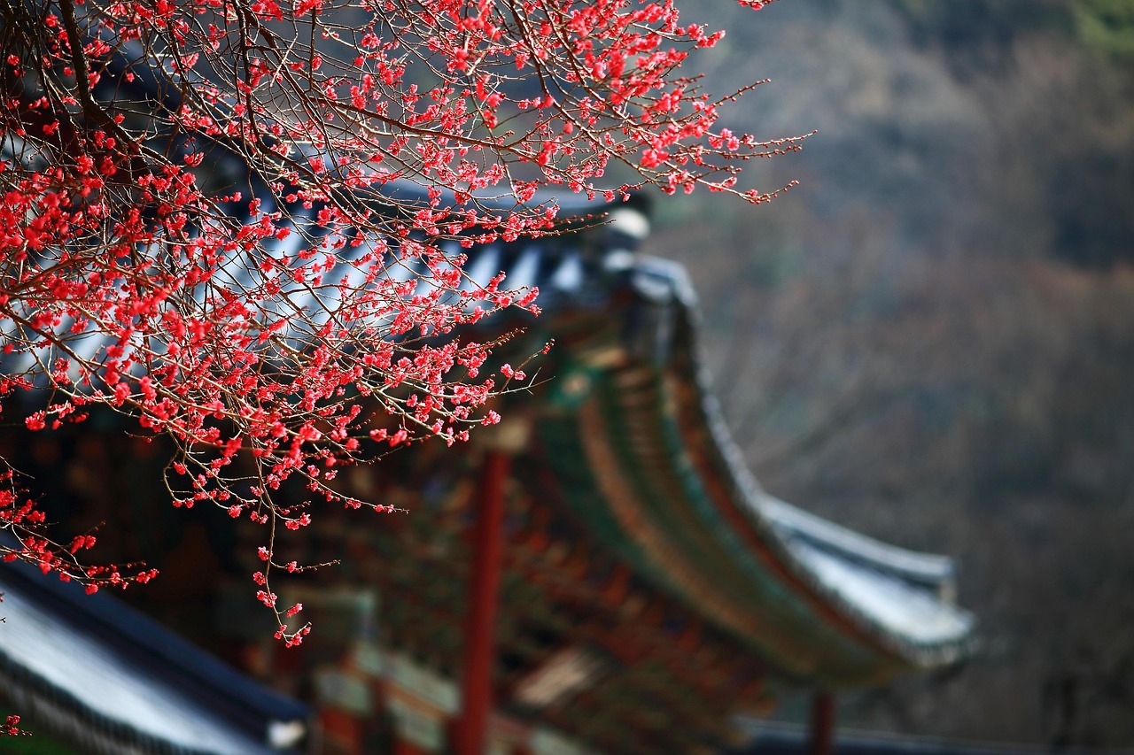 gm korea