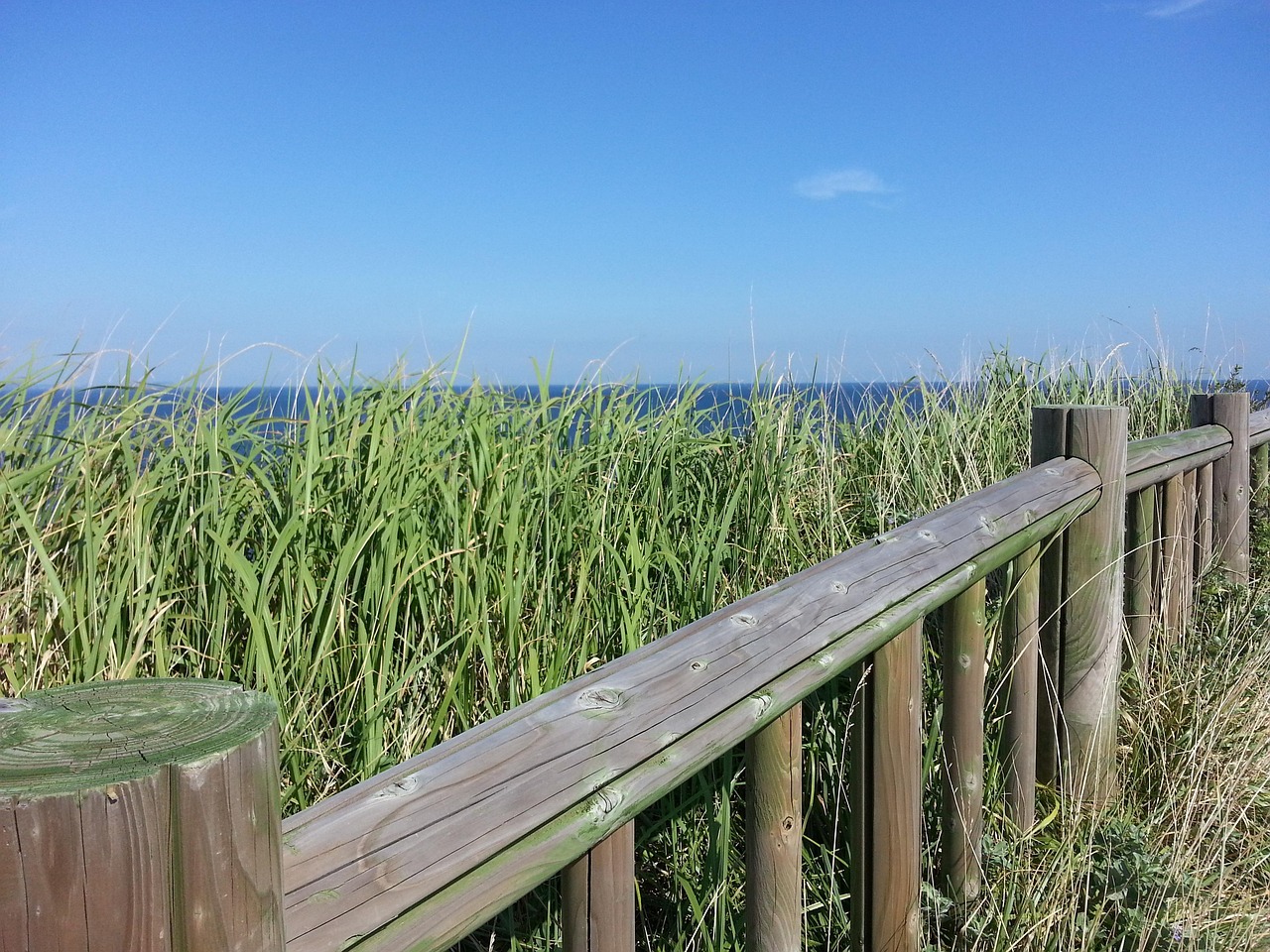 제주 15인승 승합차 렌트
