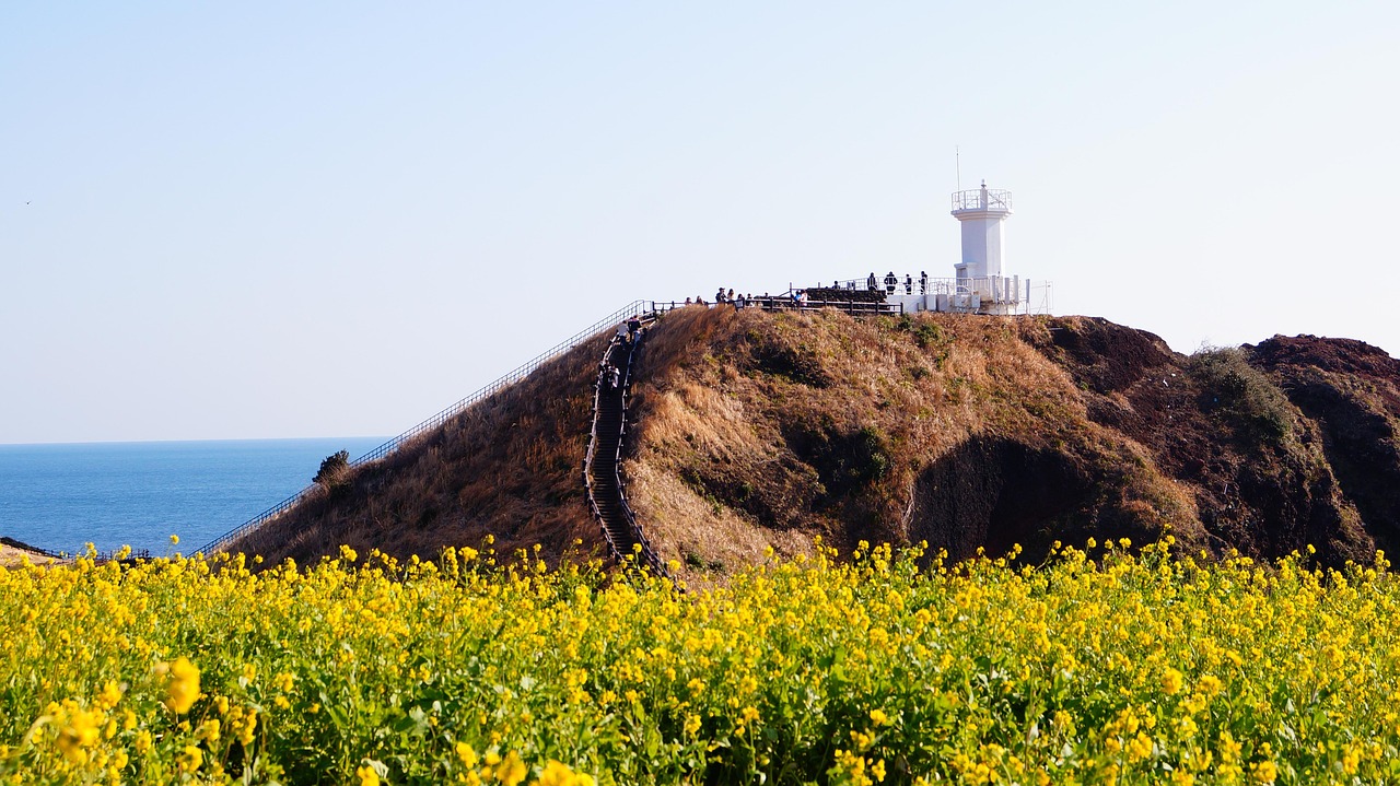 웰컴제주