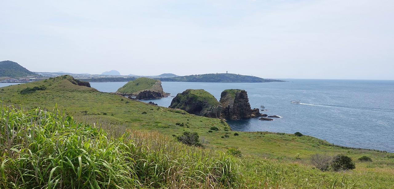 제주 15인승 승합차 렌트
