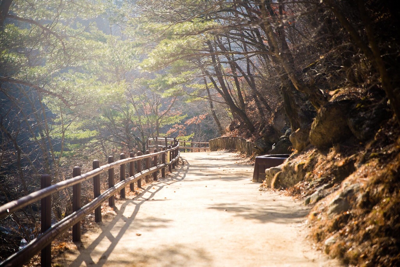 영종도 왕산 가족오토캠핑장
