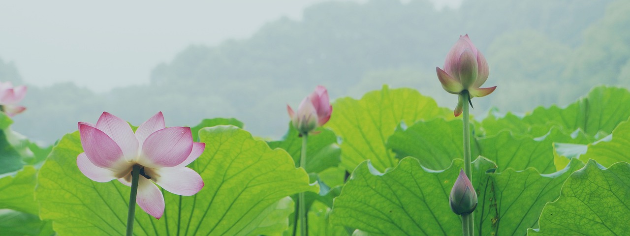 울산 상수도 사고