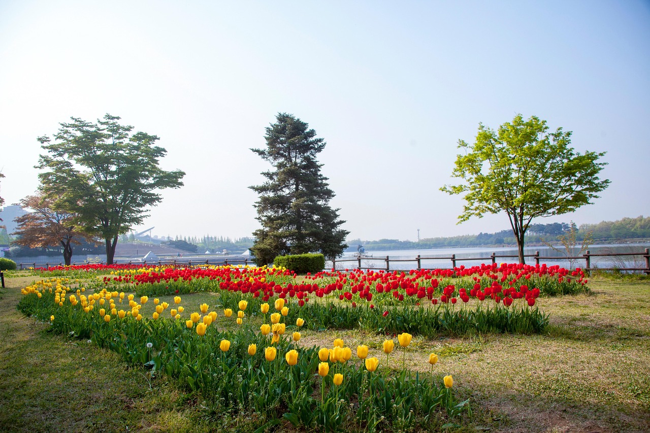 일산 백석동 원룸