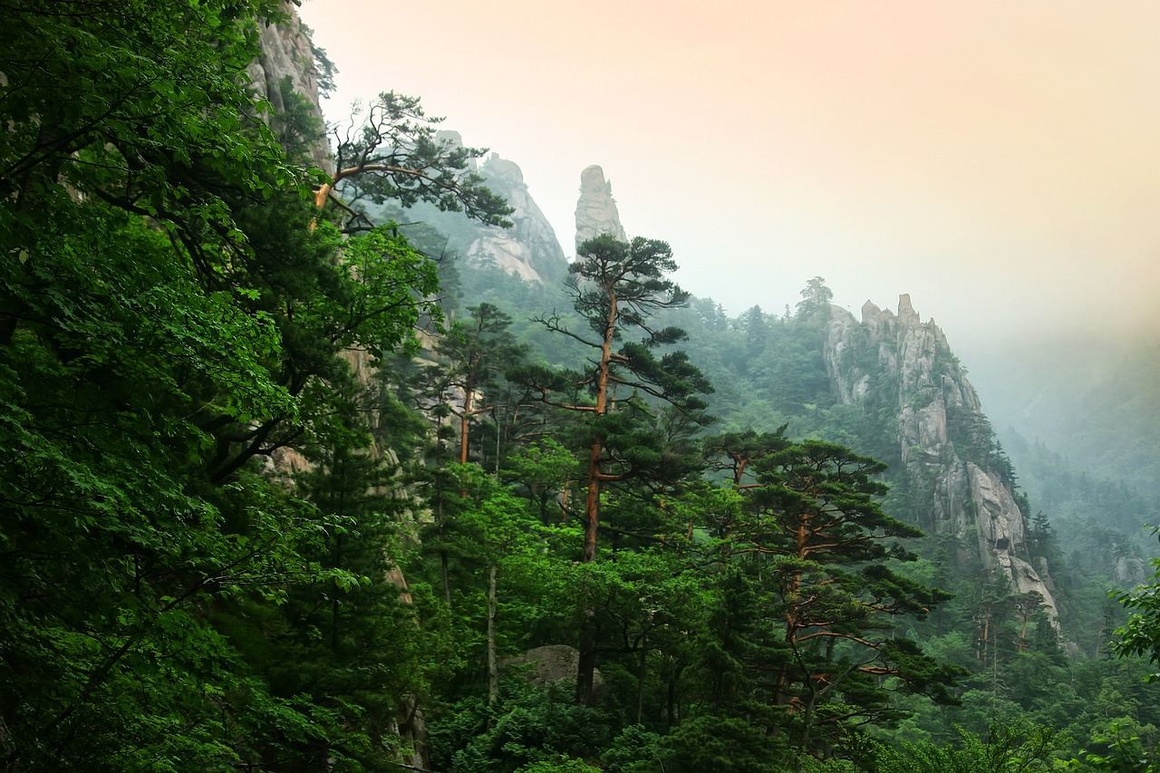 설악산 민박