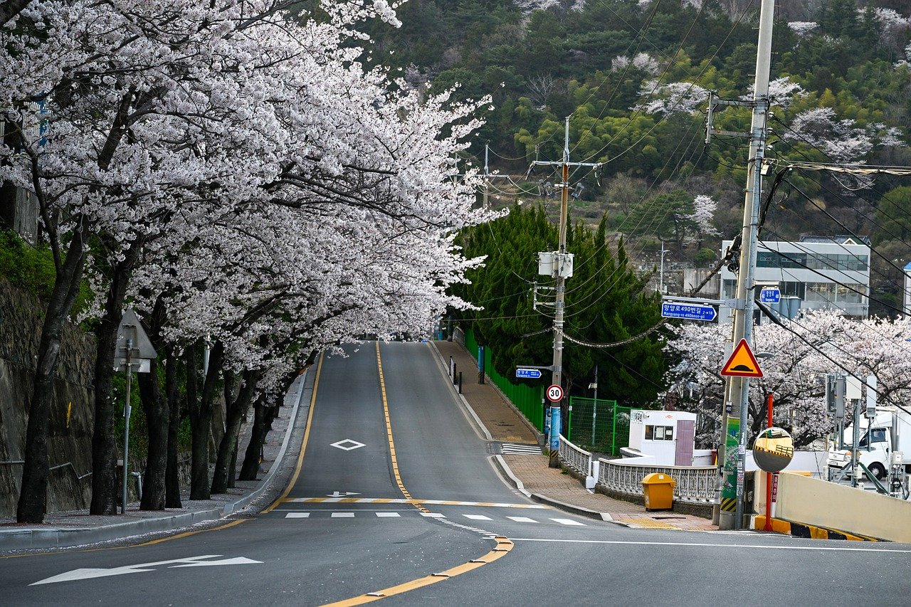 부산 개업떡