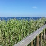 제주 15인승 승합차 렌트 꿀팁 알아보자