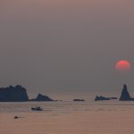 제주 갈치 직거래를 위한 유용한 꿀팁
